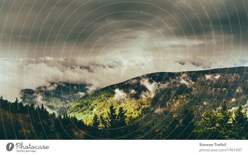 Schwarzwald im Nebel III Tourismus Abenteuer Ferne Freiheit Berge u. Gebirge wandern Landschaft Gewitterwolken Herbst Unwetter Sturm Regen Baum Wald Hügel