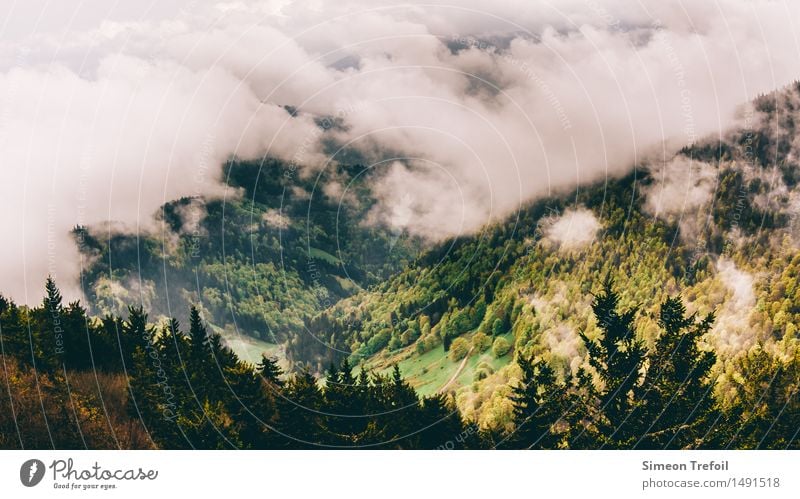 Schwarzwald ruhig Ausflug Ferne Freiheit Expedition Berge u. Gebirge wandern Landschaft Wolken Herbst schlechtes Wetter Nebel Hügel Felsen dunkel kalt nass