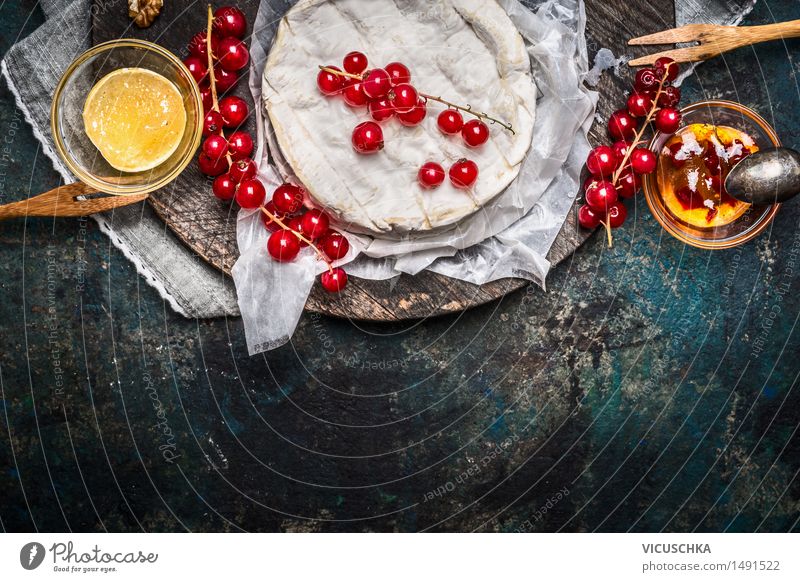 Camembert Platte mit roten Johannisbeeren Beeren und Sauce Lebensmittel Käse Marmelade Kräuter & Gewürze Ernährung Frühstück Festessen Bioprodukte