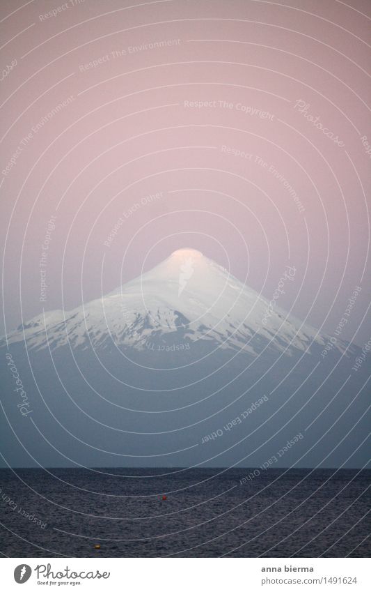 Vulkan Osorno Umwelt Natur Landschaft Schnee Gipfel Schneebedeckte Gipfel See Berge u. Gebirge Südamerika Chile Sehenswürdigkeit Wahrzeichen Wasser blau rosa