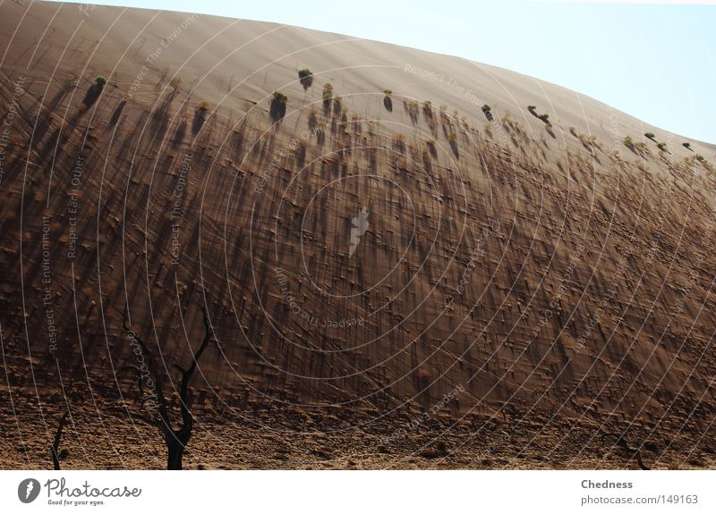 Schattenflucht.. Baum Sand braun Düne Himmel Akazie Namibia Afrika heiß Morgen Sonnenaufgang Sossusvlei Physik Wüste Erde Morgendämmerung Treppe Wärme blau