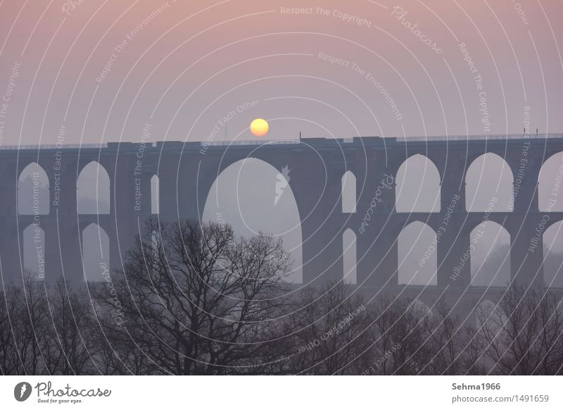 Brücke im Nebel mit der Sonne im Torbogen Umwelt Natur Landschaft Pflanze Wolkenloser Himmel Sonnenaufgang Sonnenuntergang Sonnenlicht Frühling Schönes Wetter