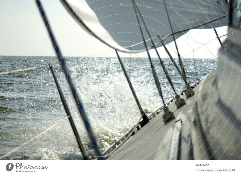 Seegang Ferne Sonne Meer Wassersport Segeln Seil Wassertropfen Himmel Wolken Herbst Schönes Wetter Wind Sportboot Jacht Segelschiff Wasserfahrzeug Holz Tropfen