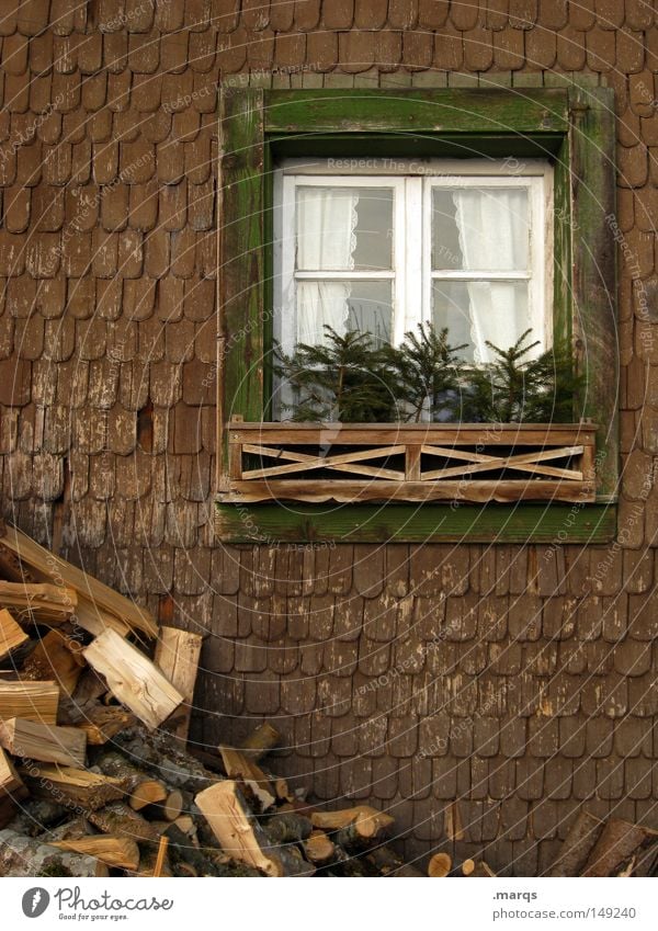 28.12. Farbfoto Gedeckte Farben Außenaufnahme Totale Häusliches Leben Haus Renovieren Baum Gebäude Fenster Holz historisch kalt braun grün Glück Schutz