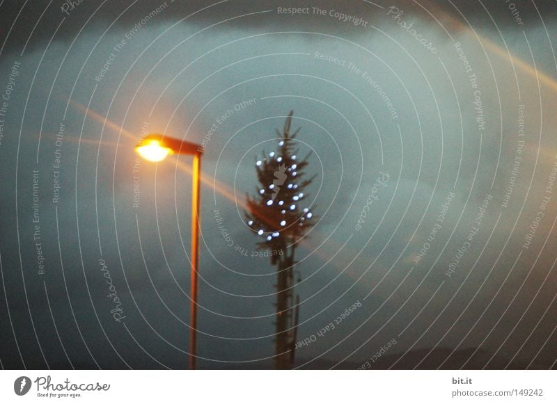 HOCH TANNENBAUM Winter Himmel Wolken Klima Unwetter glänzend dunkel hell blau Weihnachtsbaum Strahlung Laterne Flutlicht Endzeitstimmung Traurigkeit Apokalypse