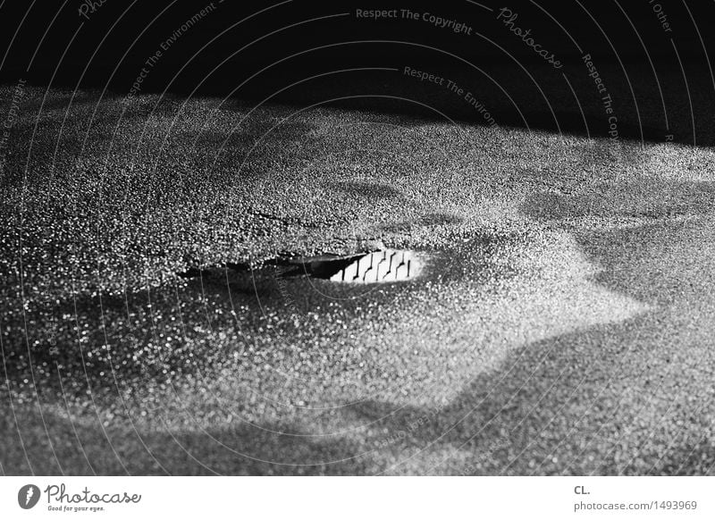 pfütze mit was drin Umwelt Natur Wasser Herbst Klima Wetter schlechtes Wetter Regen Verkehr Verkehrswege Straße Wege & Pfade dunkel nass trist Pfütze