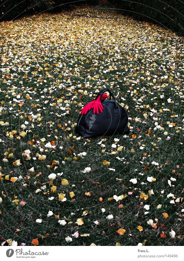 Besuch Reisetasche Handschuhe rot Gras Blatt Besucher besuchen Abschied Ferien & Urlaub & Reisen reisend unterwegs Sackgasse Friedhof Rasen Trauer Verzweiflung