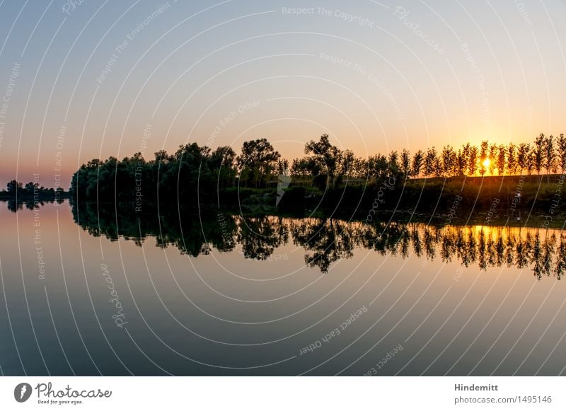 Am Po II Ferien & Urlaub & Reisen Umwelt Natur Landschaft Pflanze Luft Wasser Himmel Wolkenloser Himmel Sommer Schönes Wetter Wärme Baum Wald Flussufer