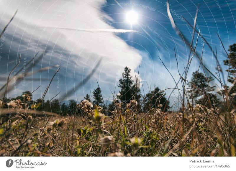 Hoch und Trocken Ferien & Urlaub & Reisen Abenteuer Sonne Berge u. Gebirge Umwelt Natur Landschaft Himmel Wolken Klima Klimawandel Wetter Park Wald Felsen See