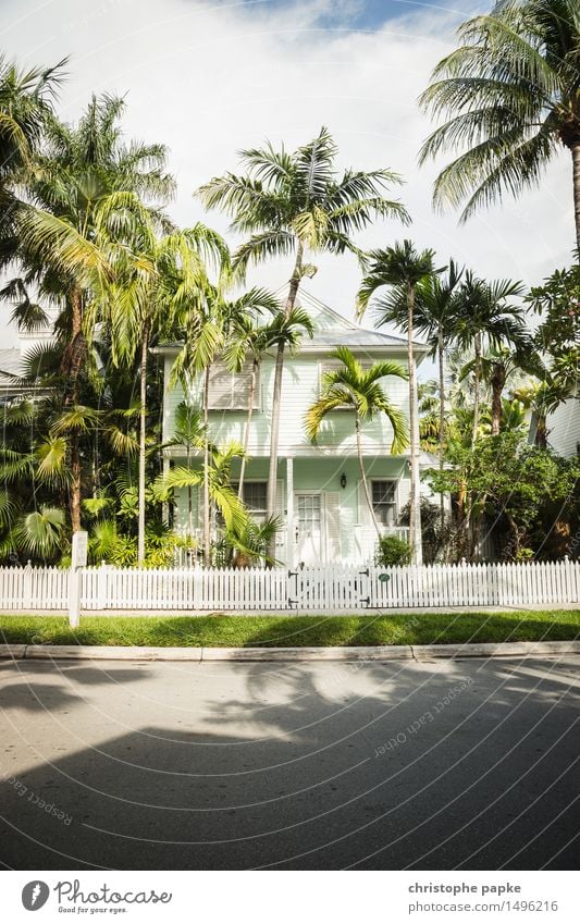 Nettes Häuschen Natur Sommer Schönes Wetter Baum Palme Wiese Key West Florida USA Haus Einfamilienhaus Traumhaus Bauwerk Gebäude Fassade exotisch