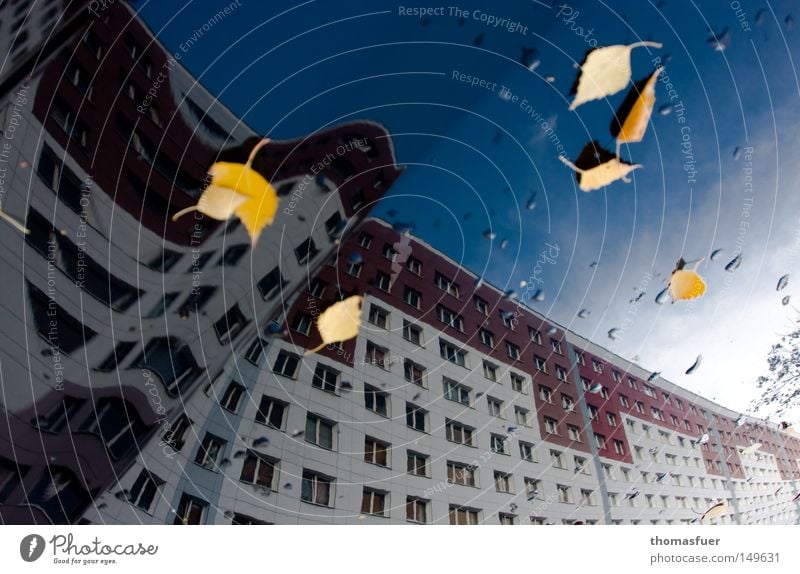 Plattenbau gespiegelt auf Auto Wohnung Wohnhochhaus Hochhaus Fenster Himmel Reflexion & Spiegelung KFZ Motorhaube Osten Poliermittel Blatt Knick Herbst Berlin