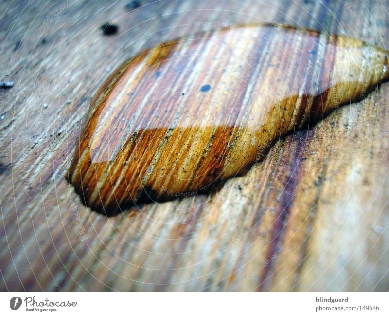 Wet Wood Nahaufnahme glänzend nass Wasser feucht Wassertropfen Tropfen Makroaufnahme Tränen Regen Gewitter Unwetter rosa Glas vergrößert silber schwarz dunkel