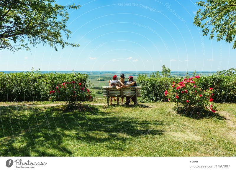 Tor zum Flachland Ausflug Ferne Freiheit Sommer Sonne Mensch Freundschaft 3 Menschengruppe Natur Pflanze Wolkenloser Himmel Schönes Wetter Blume Sträucher Rose