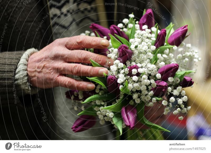 Frühlingsstrauss Valentinstag Muttertag Geburtstag Arbeit & Erwerbstätigkeit Beruf Gartenarbeit Floristik Blumenhändler Mensch maskulin Mann Erwachsene