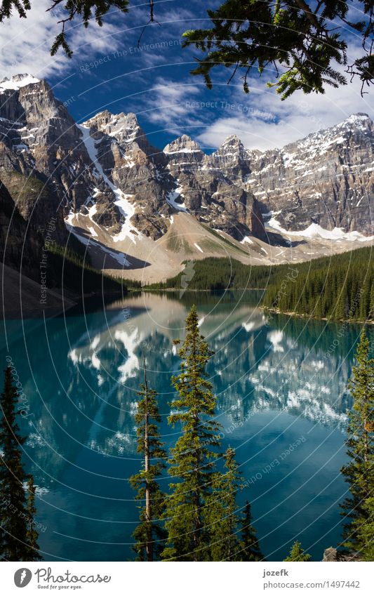 Ein Blick durch die Bäume am Moraine Lake Ferien & Urlaub & Reisen Tourismus Natur Landschaft Wasser Sommer Schönes Wetter Wald Berge u. Gebirge Rocky Mountains