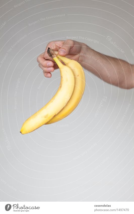 Banane Frucht Ernährung Vegetarische Ernährung Gesundheit Gesunde Ernährung Essen gelb Gedeckte Farben Textfreiraum links Textfreiraum oben Textfreiraum unten