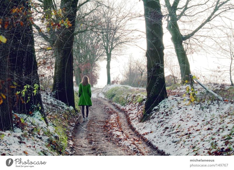 bleib doch noch grün Mantel Baum Schnee Wege & Pfade Straße Himmel Ferne blond schön ästhetisch Spuren kalt grau Fleck Wald Blatt Abschied 4 Paradies Winter