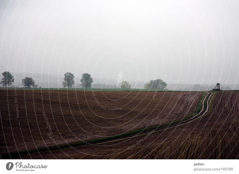 Herbst. Regen. Mistwetter. Gedeckte Farben Außenaufnahme Menschenleer Silhouette Landschaft Himmel Wolkenloser Himmel schlechtes Wetter Nebel Baum Feld Hügel