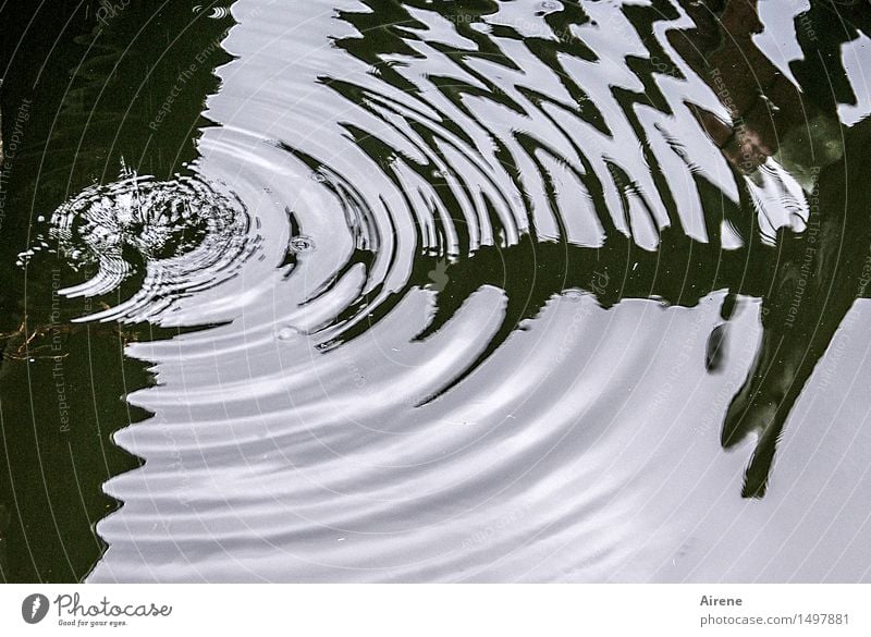 Treffer Urelemente Wasser Wassertropfen schlechtes Wetter Zeichen Ornament Pfeil Tropfen Kreis Wellen Wellenform Wellenlinie Flüssigkeit kalt nass rund schwarz