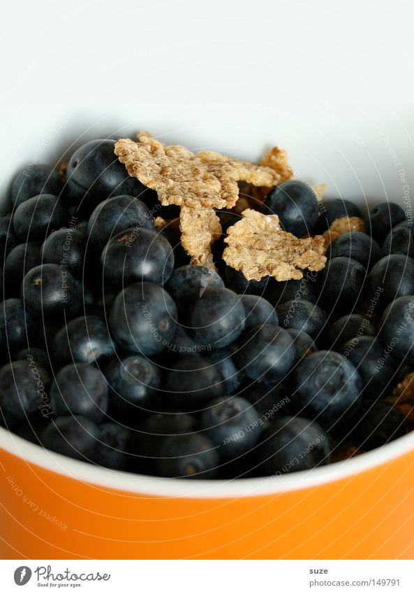 Blaubären Lebensmittel Frucht Ernährung Frühstück Bioprodukte Vegetarische Ernährung Schalen & Schüsseln Gesundheit frisch orange weiß Blaubeeren Müsli Vitamin