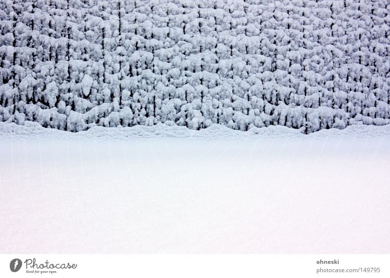 Schnee, der vor den Gartenzaun der Eltern fällt ruhig Winter Eis Frost kalt weiß Einsamkeit Vergänglichkeit Schneewehe Neuschnee Schneeflocke November Kühlung