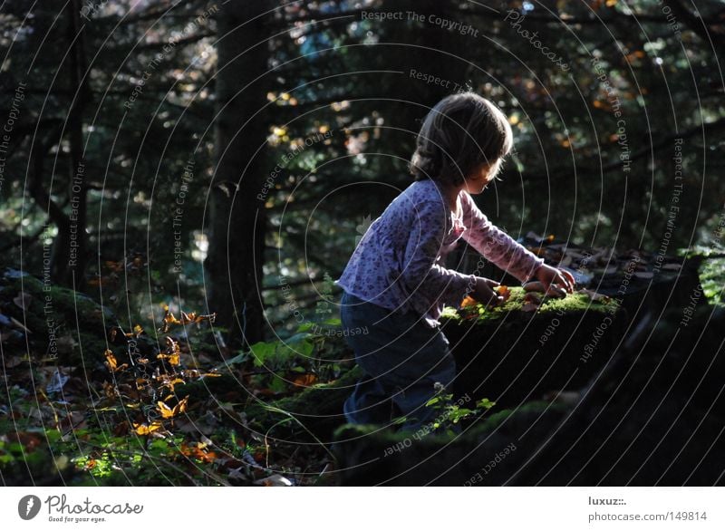 Hexle Waldkindergarten Diskjockey Mischung Kind Mädchen Natur Sammlung Entwicklung Bildung Wunder entdecken Neugier Spielen Waldlichtung Hexe Zwerg