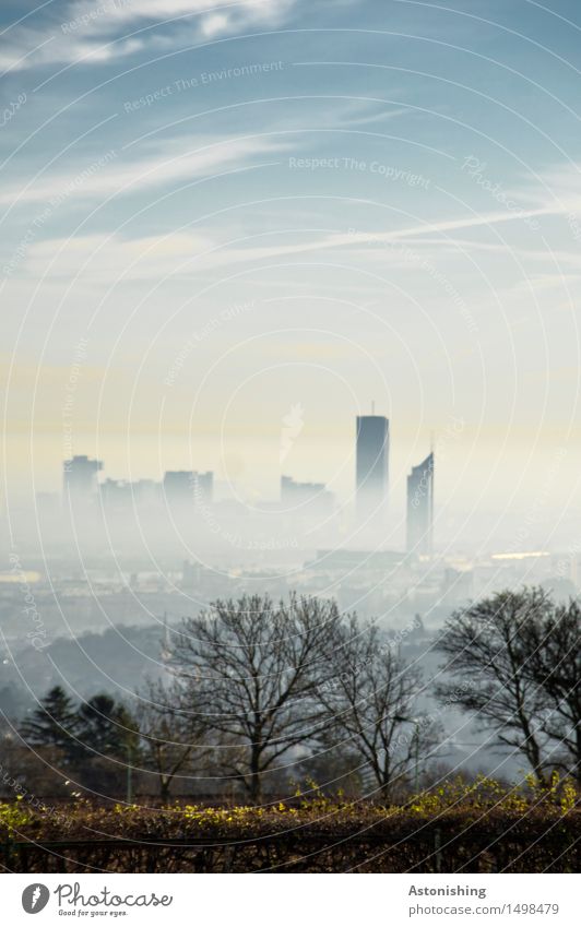 die Stadt in der Ferne III Umwelt Natur Landschaft Luft Himmel Wolken Horizont Wetter Nebel Pflanze Baum Sträucher Hügel Wien Österreich Hauptstadt Skyline