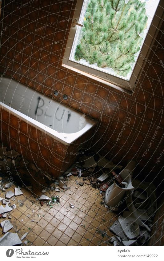 Badespass war gestern feucht nass Badewanne weiß Fenster verfallen kaputt dreckig desolat Pflanze Garten Blick Aussicht Sauberkeit rein leer Leerstand Wohnung