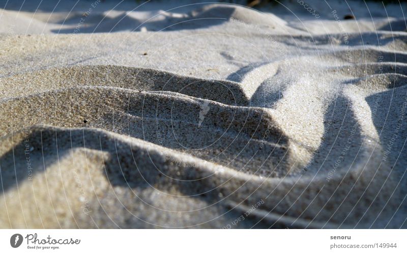 Düne am Dänischen Strand Stranddüne Küste Sandtwellen Danebrog Dänischerstrand Srandt mit Wellen Makro Düne Strand Foto