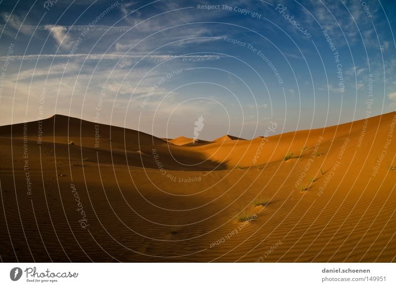 zum aufwärmen Wüste Sand Dubai Oman Vereinigte Arabische Emirate Arabien Düne rot gelb blau Himmel trocken Wärme Wind Umwelt Klima Ferien & Urlaub & Reisen