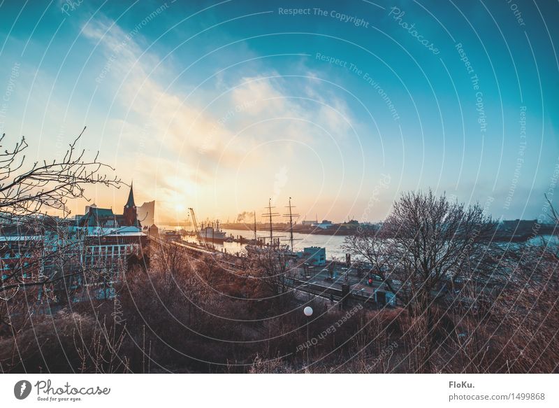 Moin, moin! Tourismus Ausflug Sightseeing Städtereise Himmel Sonnenaufgang Sonnenuntergang Schönes Wetter Flussufer Elbe Hamburg Stadt Hafenstadt Stadtzentrum