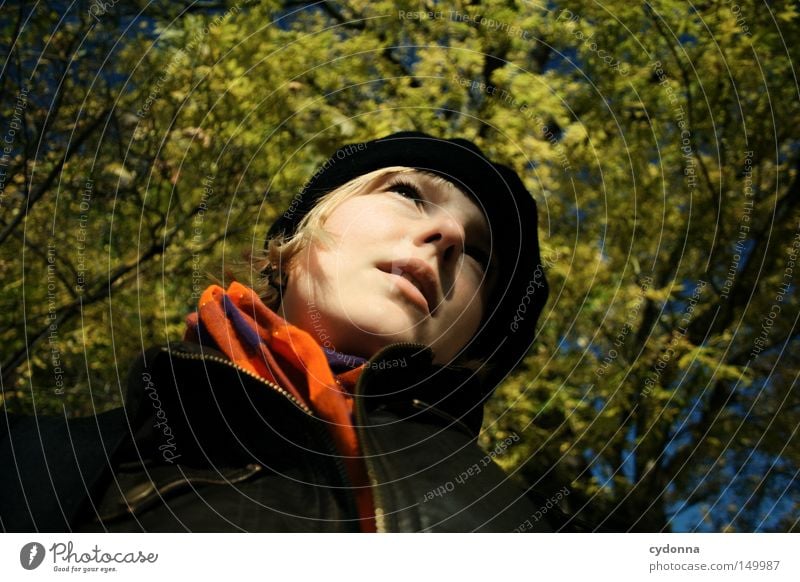 Herbstzeitlose I Jahreszeiten Blatt mehrfarbig gelb Baum Natur Zeit Wind Mensch Frau feminin Porträt heizen genießen Erholung Verbundenheit Froschperspektive