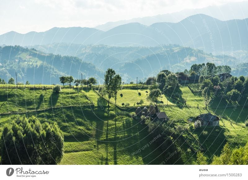 Die grüne Kontur der Erde Natur Landschaft Pflanze Himmel Sonnenaufgang Sonnenuntergang Sommer Baum Wiese Hügel Berge u. Gebirge Hütte Erholung träumen blau