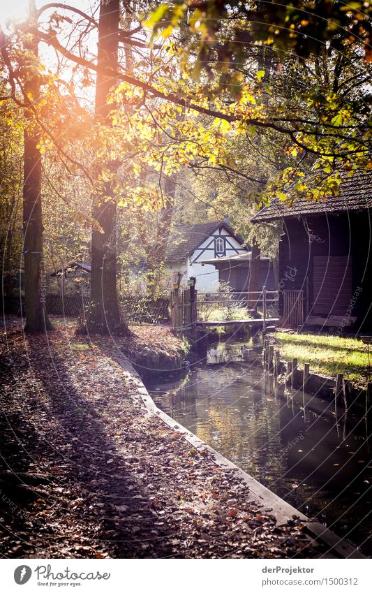 Kanale Grande im Spreewald 2 Ferien & Urlaub & Reisen Tourismus Ausflug Abenteuer Ferne Freiheit Sightseeing Städtereise Kreuzfahrt wandern Umwelt Natur