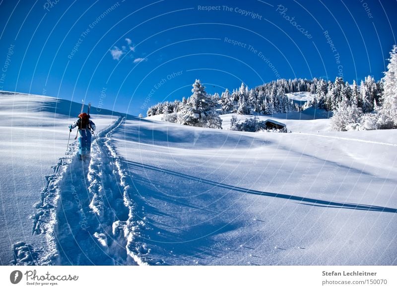 Aufstieg zum Gipfel Österreich Winter Berge u. Gebirge Schneelandschaft Bundesland Tirol Tiefschnee Winterwald Dorf serfaus Skiort Winterdorf unberührt Natur