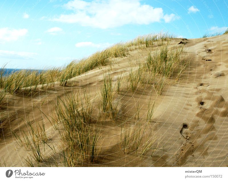 "200" Sommer, Sonne, Sonnenschein Strand Stranddüne Düne Ferien & Urlaub & Reisen entdecken Himmel Meer Ostsee Erholung Wetter Natur Erfolg Wege & Pfade Küste