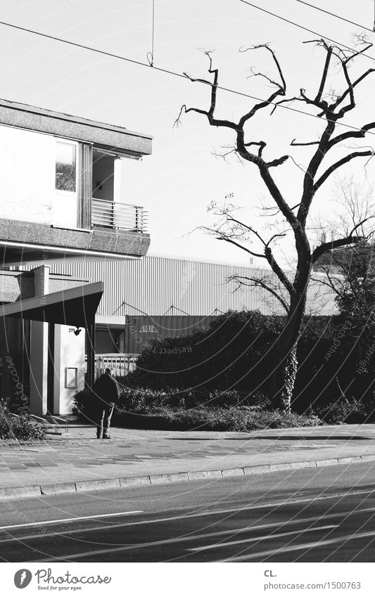 mann und baum Mensch maskulin Mann Erwachsene Leben 1 45-60 Jahre Herbst Baum Haus Gebäude Verkehr Verkehrswege Straßenverkehr Fußgänger Wege & Pfade stehen