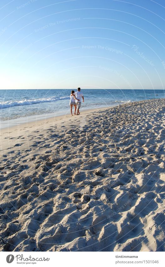 liebevolle Paare, die auf den sandigen Strand an einem sonnigen Tag gehen Lifestyle Freude laufen Ferien & Urlaub & Reisen Freiheit Sommerurlaub Valentinstag