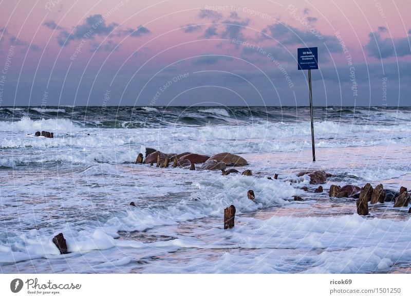 Buhne an der Küste der Ostsee Erholung Ferien & Urlaub & Reisen Strand Meer Wellen Natur Landschaft Wasser Sturm Felsen Stein Holz Hinweisschild Warnschild