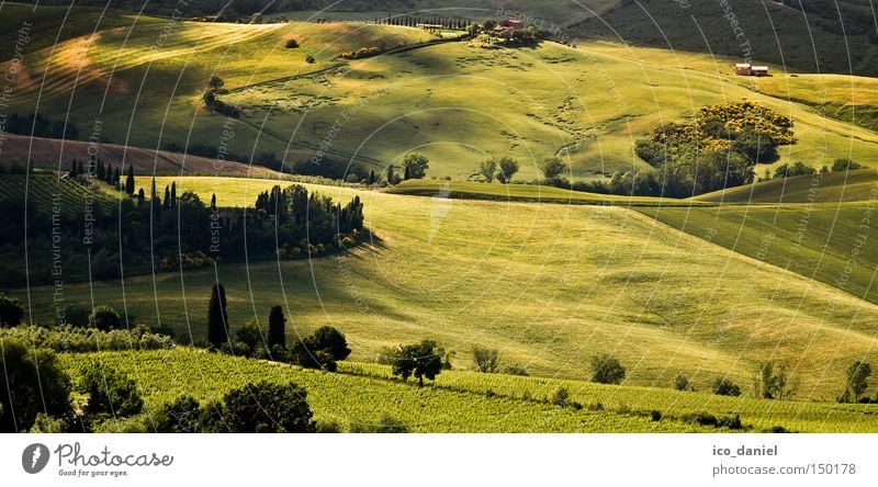 Nice View Ferne Freiheit Sommer Umwelt Natur Landschaft Pflanze Sonnenlicht Frühling Schönes Wetter Wärme Baum Gras Sträucher Nutzpflanze Wiese Hügel Erholung