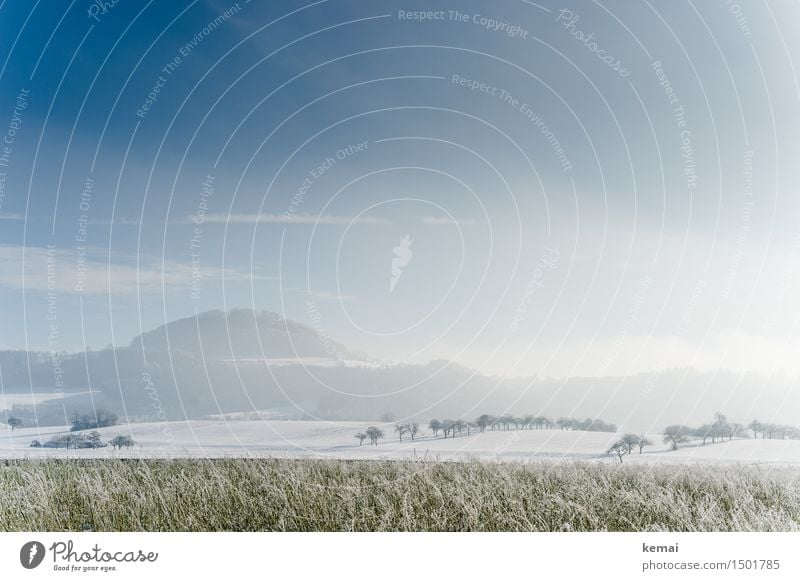 Zurück: der Winter Ausflug Abenteuer Ferne Freiheit wandern Umwelt Natur Landschaft Himmel Wolken Sonne Sonnenlicht Schönes Wetter Nebel Eis Frost Schnee Baum