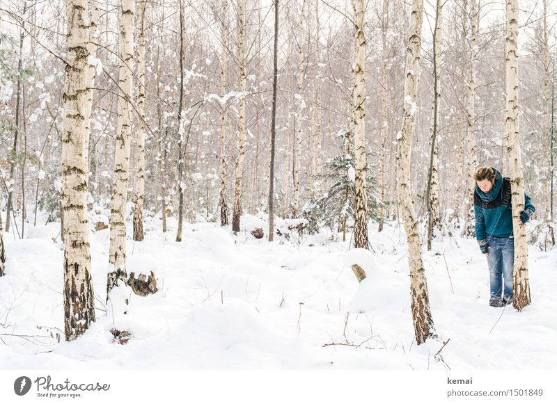 Spending my time with trees (I) Lifestyle Abenteuer Mensch feminin Frau Erwachsene Leben 1 30-45 Jahre Umwelt Natur Winter Schnee Baum Birke Birkenwald