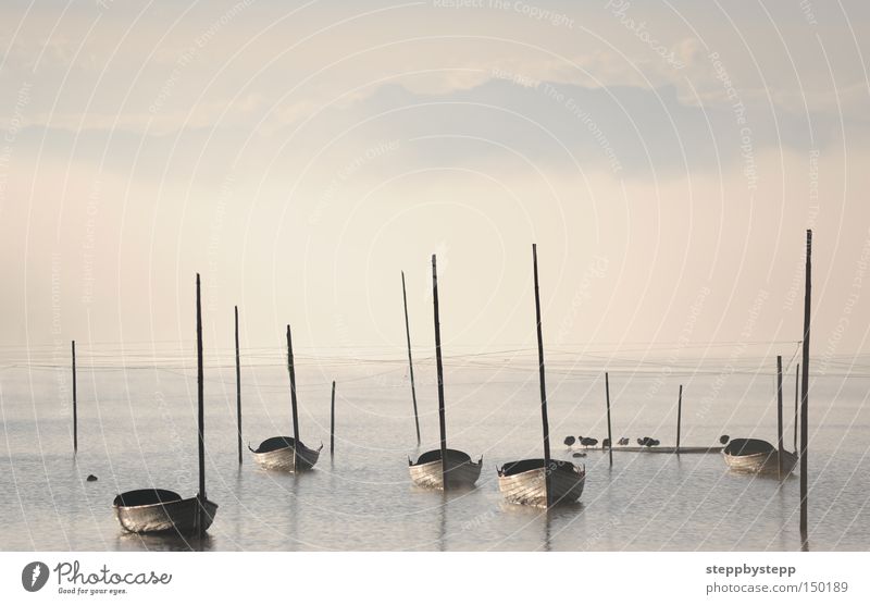 In the morning Herbst Morgen Stimmung See Wasserfahrzeug traumhaft Märchenlandschaft geheimnisvoll ruhig Nebel kalt