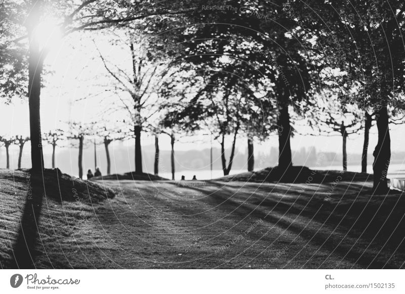 am rhein Mensch Menschengruppe Umwelt Natur Sonnenlicht Frühling Sommer Schönes Wetter Baum Park Wiese Flussufer Rhein Düsseldorf Freizeit & Hobby