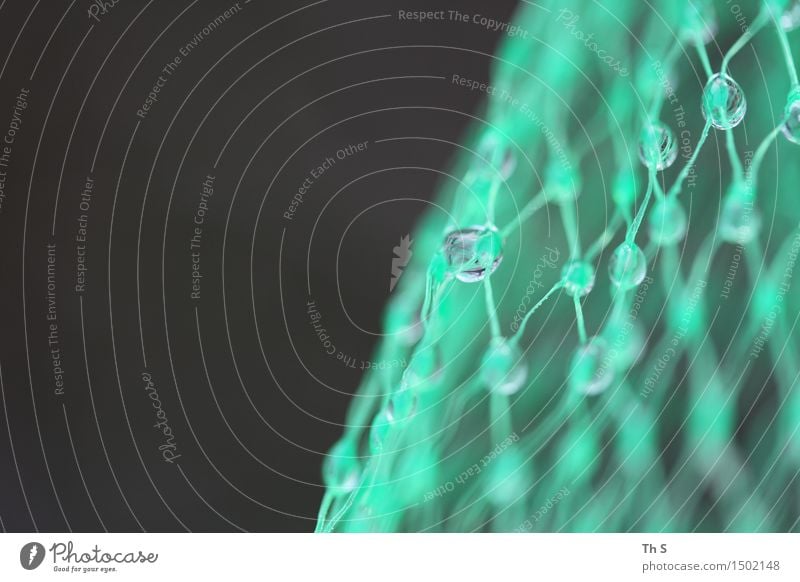 Tropfen Regen Kunststoff Netz ästhetisch authentisch einfach elegant nass natürlich grün schwarz Gelassenheit geduldig ruhig beweglich Design einzigartig Kitsch