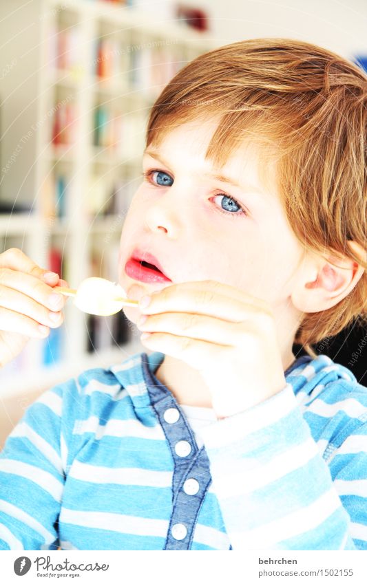 süß | oder sauer?! Speiseeis Kind Junge Familie & Verwandtschaft Kindheit Haut Kopf Haare & Frisuren Gesicht Auge Ohr Nase Mund Lippen Hand Finger 1 Mensch