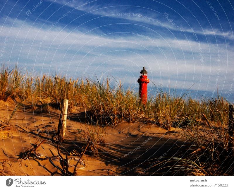 Am Leuchtturm Stranddüne Düne Turm Licht Küste Gras Hafen Sommer lighthouse