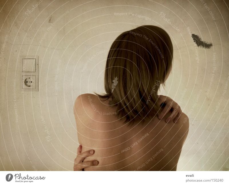 Why do birds suddenly disappear? Frau Schulter Hand Lichtschalter Steckdose woman head Kopf shoulders back Rücken hands hair Haare & Frisuren Feder feather