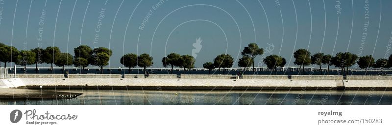 Wald Lissabon Baum Meer Horizont blau Küste Seeufer Flussufer Hafen Baumreihe Allee Reihe Natur Sommer Herbst Panorama (Aussicht) groß Panorama (Bildformat)