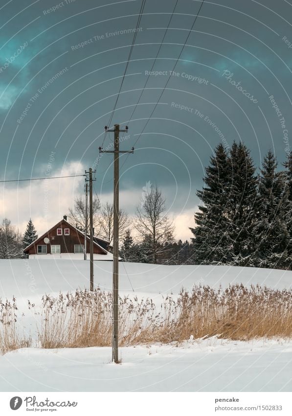 nordisch talking Natur Landschaft Urelemente Himmel Wolken Gewitterwolken Horizont Winter Eis Frost Schnee Wald Moor Sumpf frei Freundlichkeit Fröhlichkeit